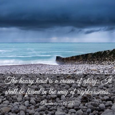 Picture 03 - Proverbs 16:31 ASV - The hoary head is a crown of glory; It shall be - Bible Verse Picture