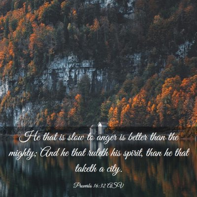 Picture 03 - Proverbs 16:32 ASV - He that is slow to anger is better than the - Bible Verse Picture