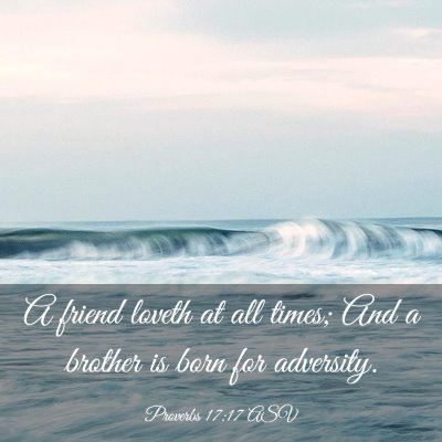 Picture 03 - Proverbs 17:17 ASV - A friend loveth at all times; And a brother is - Bible Verse Picture