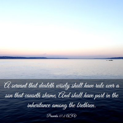 Picture 03 - Proverbs 17:2 ASV - A servant that dealeth wisely shall have rule - Bible Verse Picture