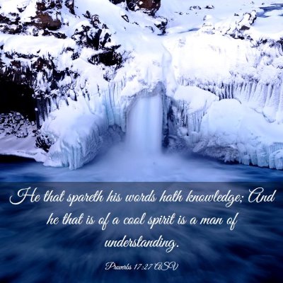 Picture 03 - Proverbs 17:27 ASV - He that spareth his words hath knowledge; And he - Bible Verse Picture