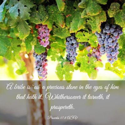 Picture 03 - Proverbs 17:8 ASV - A bribe is `as' a precious stone in the eyes of - Bible Verse Picture