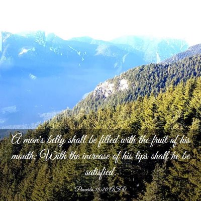 Picture 03 - Proverbs 18:20 ASV - A man's belly shall be filled with the fruit of - Bible Verse Picture