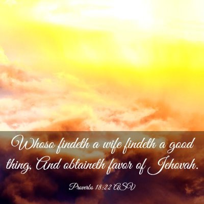 Picture 03 - Proverbs 18:22 ASV - Whoso findeth a wife findeth a good thing, And - Bible Verse Picture