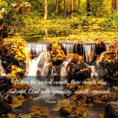 Picture 03 - Proverbs 18:3 ASV - When the wicked cometh, there cometh also - Bible Verse Picture