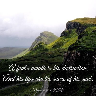 Picture 03 - Proverbs 18:7 ASV - A fool's mouth is his destruction, And his lips - Bible Verse Picture