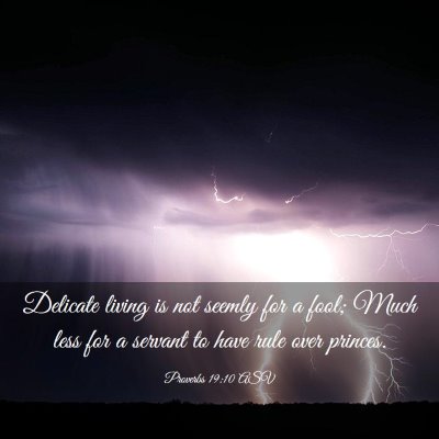Picture 03 - Proverbs 19:10 ASV - Delicate living is not seemly for a fool; Much - Bible Verse Picture