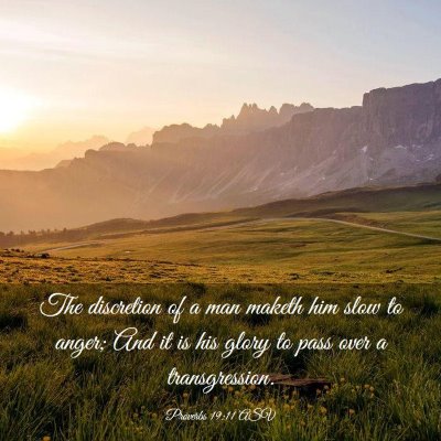 Picture 03 - Proverbs 19:11 ASV - The discretion of a man maketh him slow to anger; - Bible Verse Picture