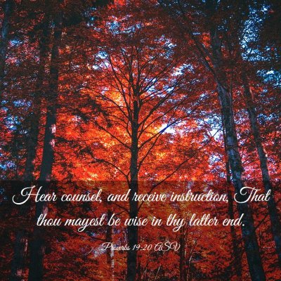 Picture 03 - Proverbs 19:20 ASV - Hear counsel, and receive instruction, That thou - Bible Verse Picture