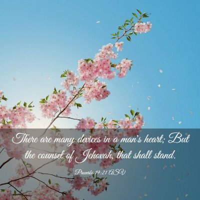 Picture 03 - Proverbs 19:21 ASV - There are many devices in a man's heart; But the - Bible Verse Picture