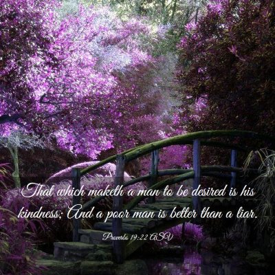 Picture 03 - Proverbs 19:22 ASV - That which maketh a man to be desired is his - Bible Verse Picture