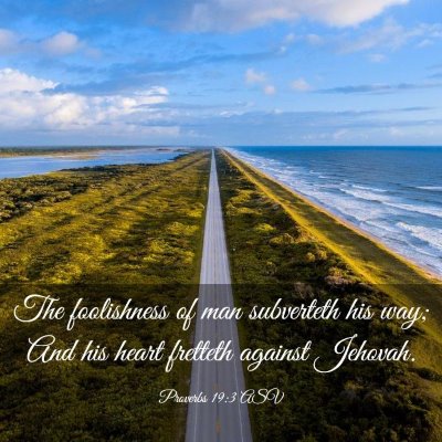Picture 03 - Proverbs 19:3 ASV - The foolishness of man subverteth his way; And - Bible Verse Picture