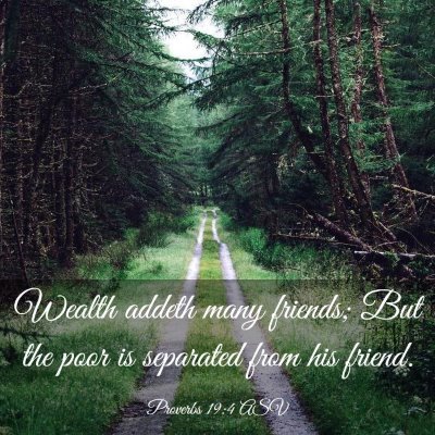 Picture 03 - Proverbs 19:4 ASV - Wealth addeth many friends; But the poor is - Bible Verse Picture