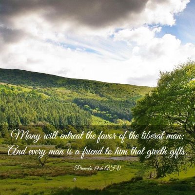 Picture 03 - Proverbs 19:6 ASV - Many will entreat the favor of the liberal man; - Bible Verse Picture