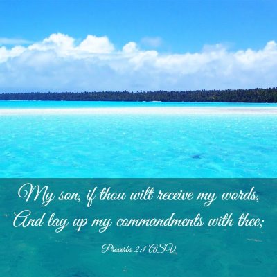 Picture 03 - Proverbs 2:1 ASV - My son, if thou wilt receive my words, And lay up - Bible Verse Picture