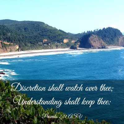 Picture 03 - Proverbs 2:11 ASV - Discretion shall watch over thee; Understanding - Bible Verse Picture