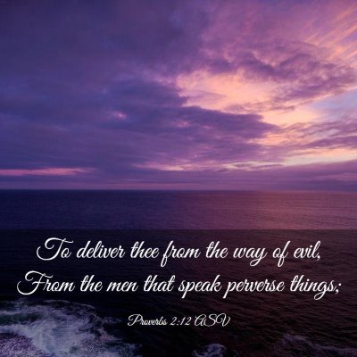Picture 03 - Proverbs 2:12 ASV - To deliver thee from the way of evil, From the - Bible Verse Picture