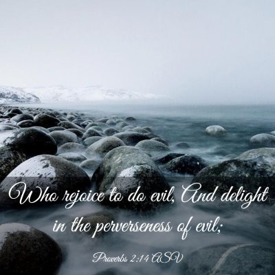 Picture 03 - Proverbs 2:14 ASV - Who rejoice to do evil, And delight in the - Bible Verse Picture