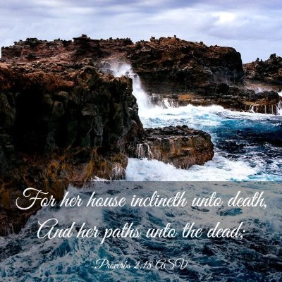 Picture 03 - Proverbs 2:18 ASV - For her house inclineth unto death, And her paths - Bible Verse Picture