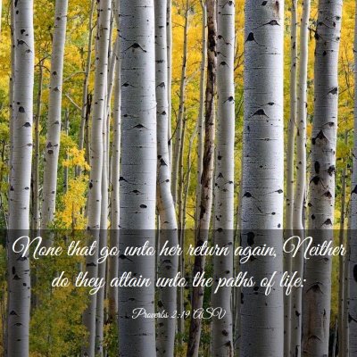 Picture 03 - Proverbs 2:19 ASV - None that go unto her return again, Neither do - Bible Verse Picture