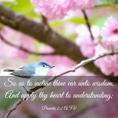 Picture 03 - Proverbs 2:2 ASV - So as to incline thine ear unto wisdom, And apply - Bible Verse Picture