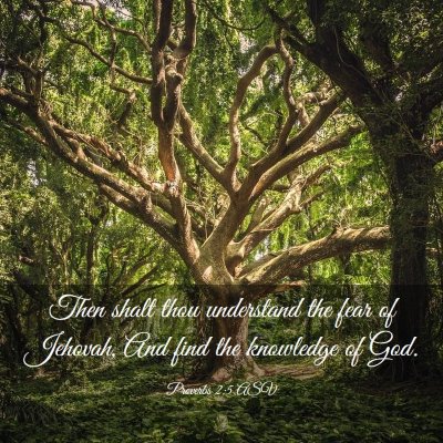 Picture 03 - Proverbs 2:5 ASV - Then shalt thou understand the fear of Jehovah, - Bible Verse Picture