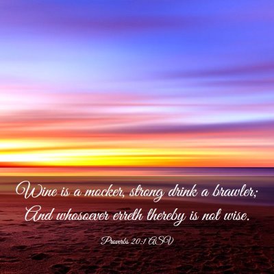Picture 03 - Proverbs 20:1 ASV - Wine is a mocker, strong drink a brawler; And - Bible Verse Picture
