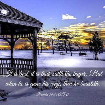 Picture 03 - Proverbs 20:14 ASV - It is bad, it is bad, saith the buyer; But when - Bible Verse Picture