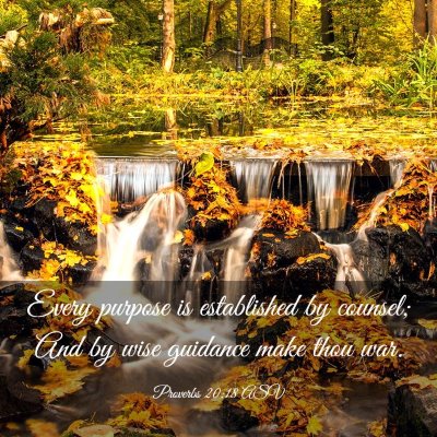 Picture 03 - Proverbs 20:18 ASV - Every purpose is established by counsel; And by - Bible Verse Picture