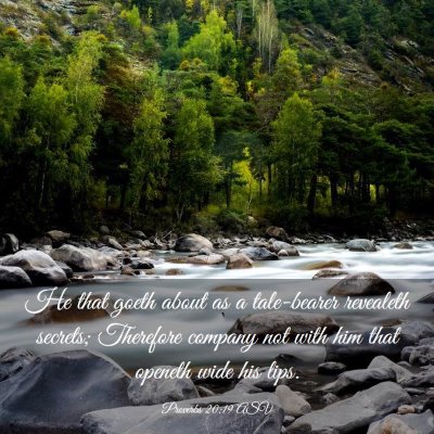 Picture 03 - Proverbs 20:19 ASV - He that goeth about as a tale-bearer revealeth - Bible Verse Picture