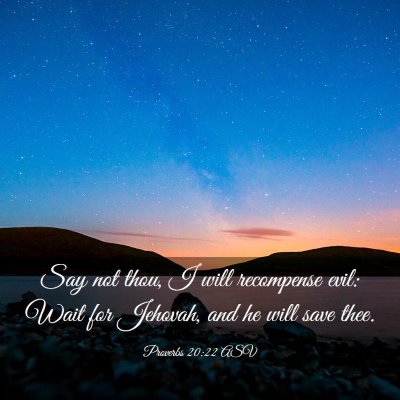 Picture 03 - Proverbs 20:22 ASV - Say not thou, I will recompense evil: Wait for - Bible Verse Picture