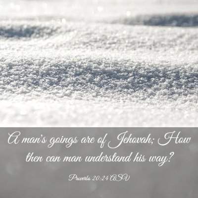 Picture 03 - Proverbs 20:24 ASV - A man's goings are of Jehovah; How then can man - Bible Verse Picture