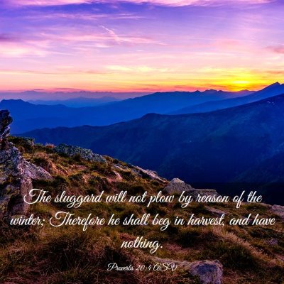 Picture 03 - Proverbs 20:4 ASV - The sluggard will not plow by reason of the - Bible Verse Picture