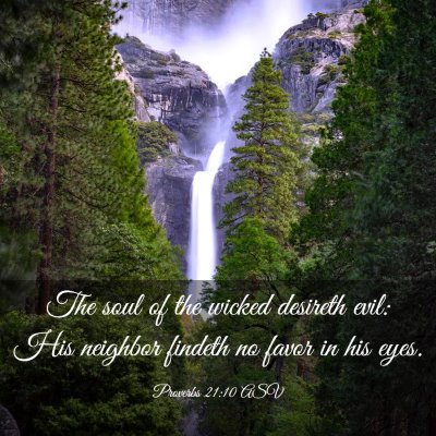Picture 03 - Proverbs 21:10 ASV - The soul of the wicked desireth evil: His - Bible Verse Picture