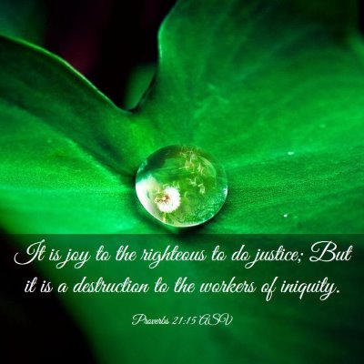 Picture 03 - Proverbs 21:15 ASV - It is joy to the righteous to do justice; But it - Bible Verse Picture