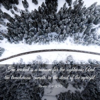 Picture 03 - Proverbs 21:18 ASV - The wicked is a ransom for the righteous; And the - Bible Verse Picture