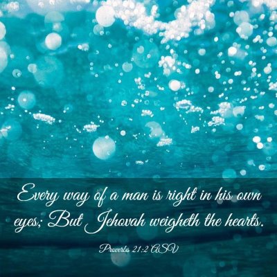 Picture 03 - Proverbs 21:2 ASV - Every way of a man is right in his own eyes; But - Bible Verse Picture