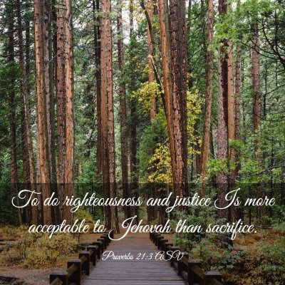 Picture 03 - Proverbs 21:3 ASV - To do righteousness and justice Is more - Bible Verse Picture