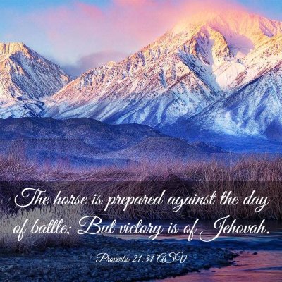 Picture 03 - Proverbs 21:31 ASV - The horse is prepared against the day of battle; - Bible Verse Picture