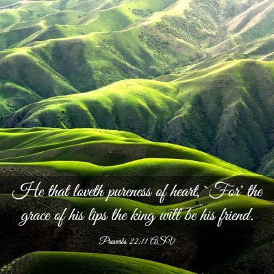 Picture 03 - Proverbs 22:11 ASV - He that loveth pureness of heart, `For' the grace - Bible Verse Picture