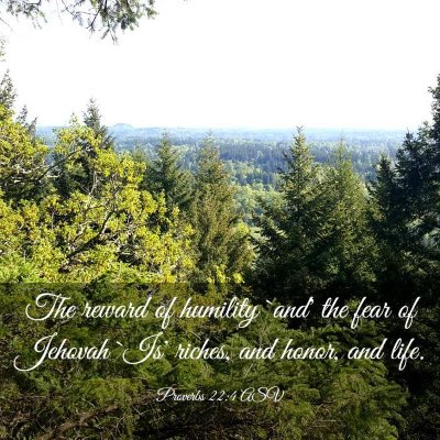 Picture 03 - Proverbs 22:4 ASV - The reward of humility `and' the fear of Jehovah - Bible Verse Picture