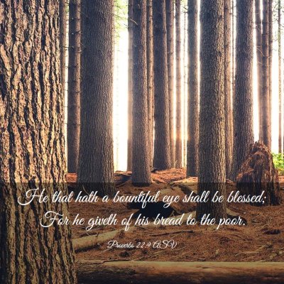 Picture 03 - Proverbs 22:9 ASV - He that hath a bountiful eye shall be blessed; - Bible Verse Picture
