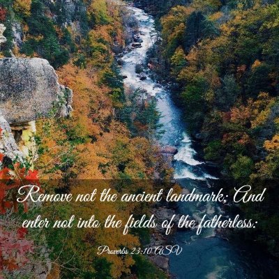 Picture 03 - Proverbs 23:10 ASV - Remove not the ancient landmark; And enter not - Bible Verse Picture