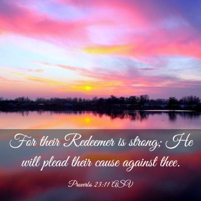 Picture 03 - Proverbs 23:11 ASV - For their Redeemer is strong; He will plead their - Bible Verse Picture