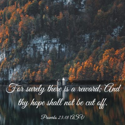 Picture 03 - Proverbs 23:18 ASV - For surely there is a reward; And thy hope shall - Bible Verse Picture