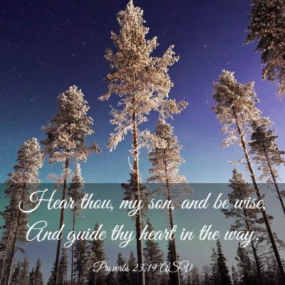 Picture 03 - Proverbs 23:19 ASV - Hear thou, my son, and be wise, And guide thy - Bible Verse Picture