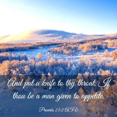 Picture 03 - Proverbs 23:2 ASV - And put a knife to thy throat, If thou be a man - Bible Verse Picture