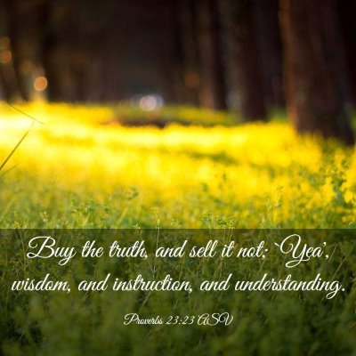 Picture 03 - Proverbs 23:23 ASV - Buy the truth, and sell it not; `Yea', wisdom, - Bible Verse Picture