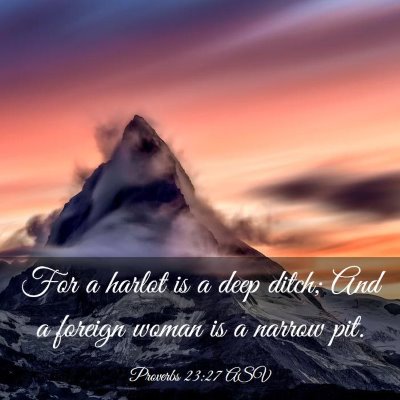 Picture 03 - Proverbs 23:27 ASV - For a harlot is a deep ditch; And a foreign woman - Bible Verse Picture
