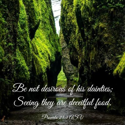 Picture 03 - Proverbs 23:3 ASV - Be not desirous of his dainties; Seeing they are - Bible Verse Picture